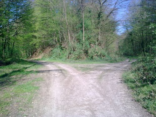 Na Pola Puta