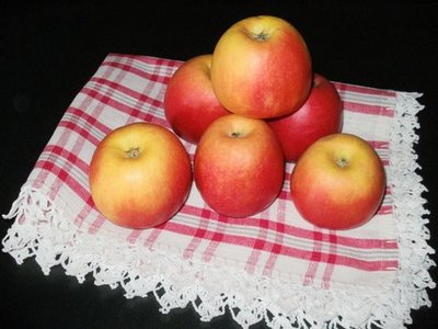 Svađali Se