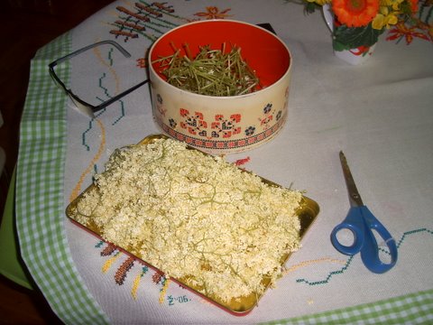 [slika]
