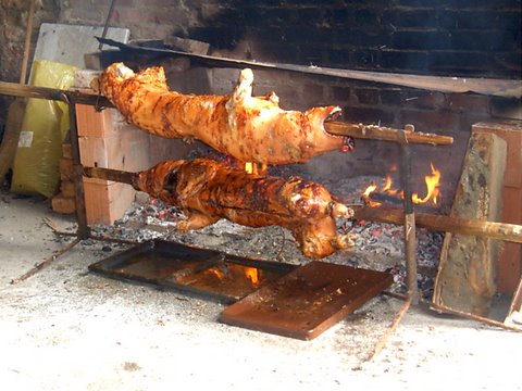 [slika]